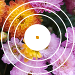 music-cover